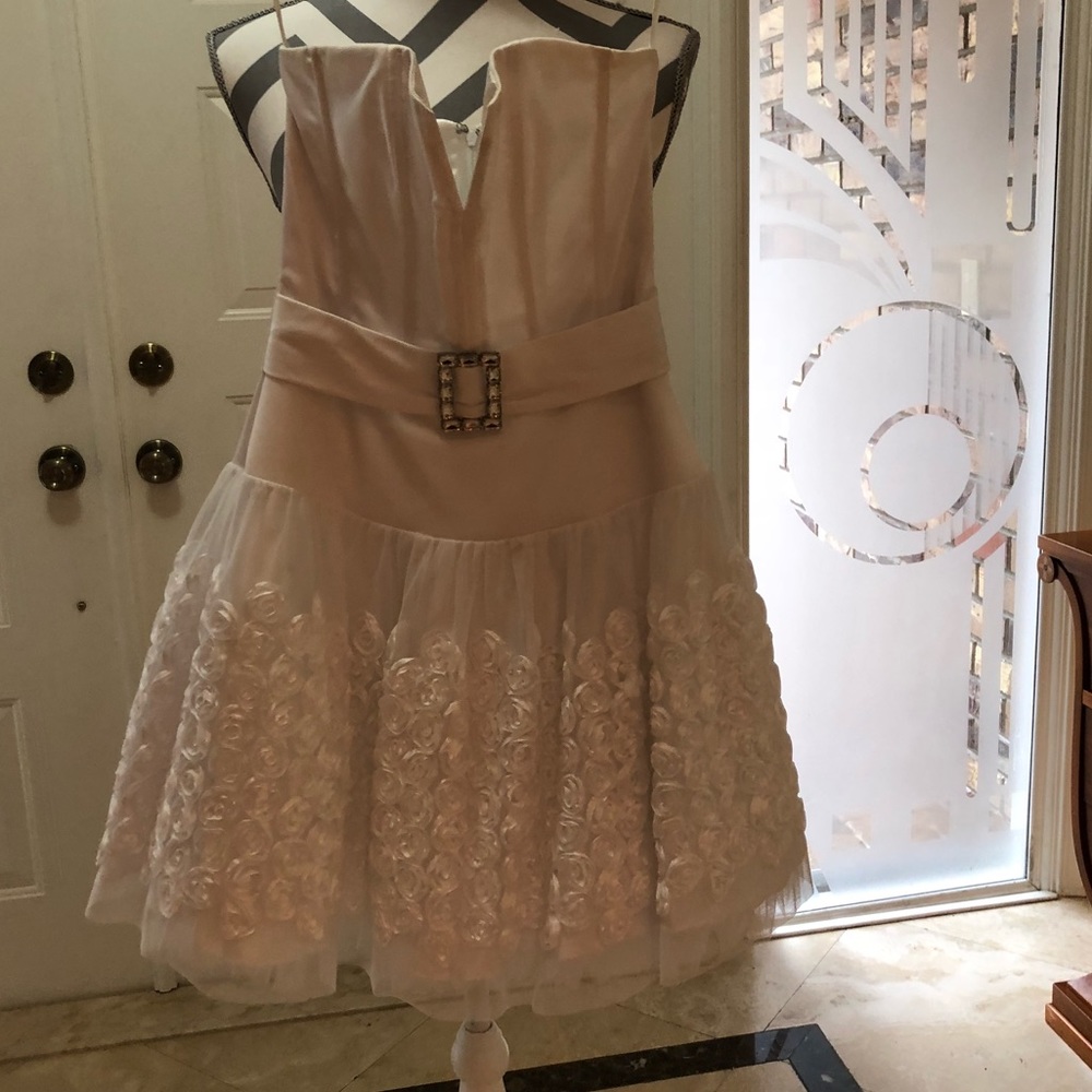 JESSICA MCCLINTOCK DRESS - Picture 3 of 4